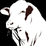 Beefmaster Logo